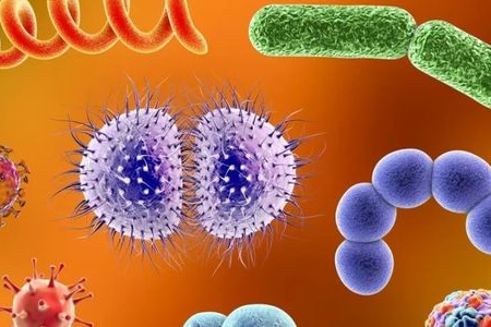 BABIO випускає середовище для збагачення Salmonella Shigella для надійного кишкового транспорту патогенів