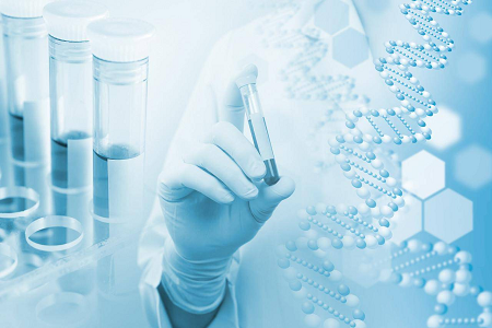 Агарове середовище B (казеїновий агар із соєвими бобами) – надійний вибір для мікробної культури