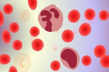 Транспортне середовище для лабораторій BABIO Salmonella Shigella